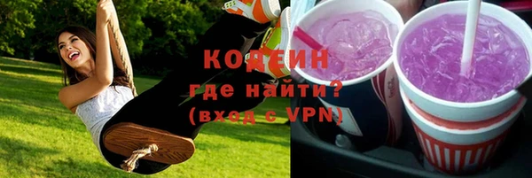 дурь Каменка