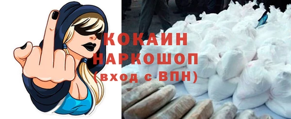 молекула духа Карпинск