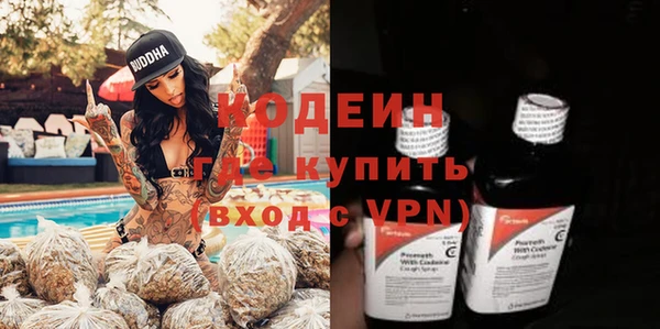 дурь Каменка