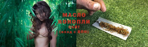 дурь Каменка