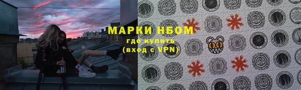 гашик Каменногорск