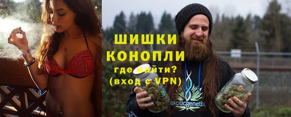 дурь Каменка